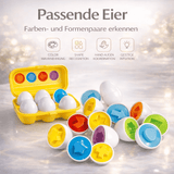 Schlaue Eier - Lernspiezeug