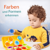 Schlaue Eier - Lernspiezeug