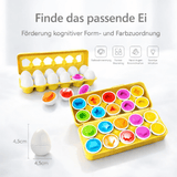 Schlaue Eier - Lernspiezeug