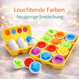 Schlaue Eier - Lernspiezeug