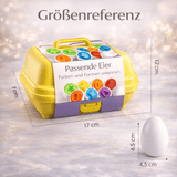 Schlaue Eier - Lernspiezeug
