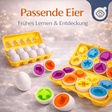 Schlaue Eier - Lernspiezeug